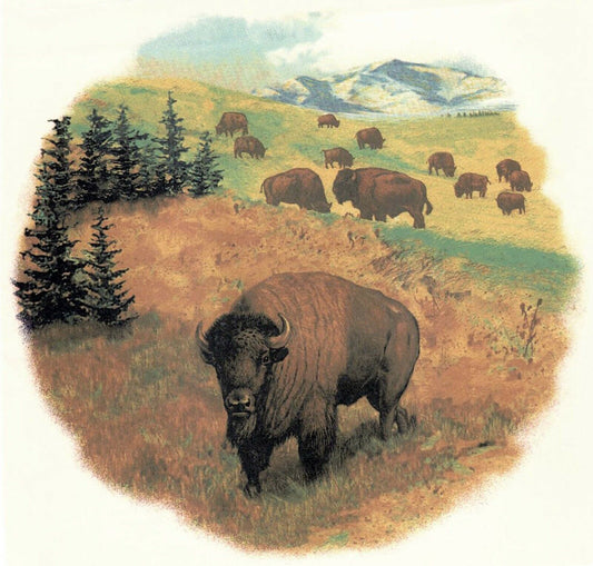 Buffalo Range Mountains Overglaze Waterslide Ceramic Decals