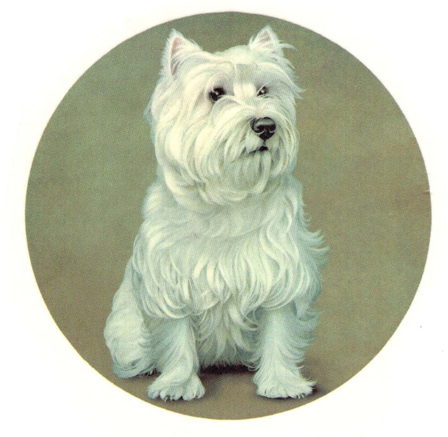 1 Westland Terrier Westie Dog 7-1/2" Overglaze Waterslide Ceramic Decal