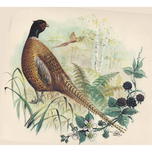 Pheasant Wild Bird Overglaze Waterslide Ceramic Decals