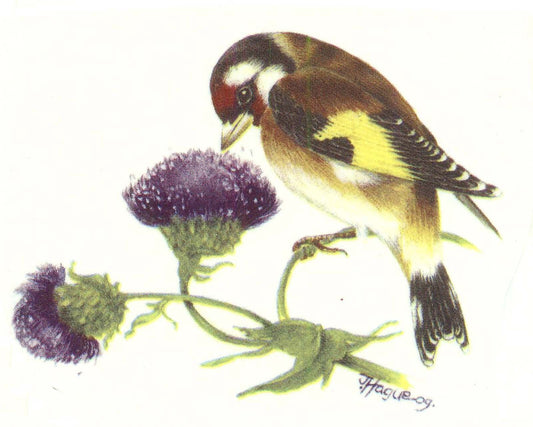 Goldfinch Finch Bird Purple Thistle Select-A-Size Waterslide Ceramic Decals