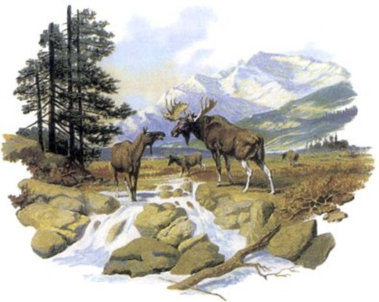 Moose Forest Scene River Mountains Overglaze Waterslide Ceramic Decals