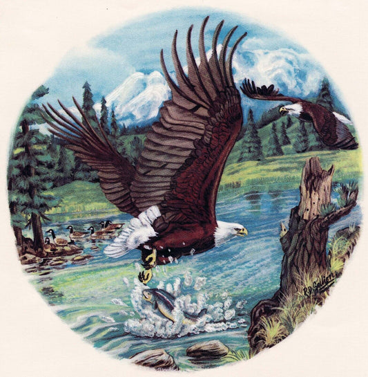 Eagle Hunting Fish River 1 pc 5-1/2"  Ceramic Decals
