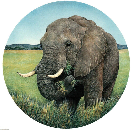 Elephant Animal Green Jungle Overglaze Waterslide Ceramic Decals