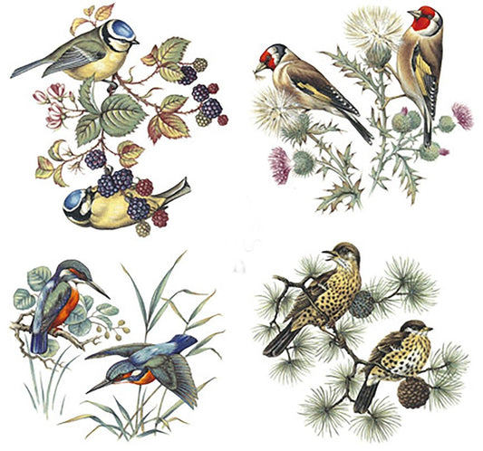 4 British Birds Overglaze Waterslide Ceramic Decals