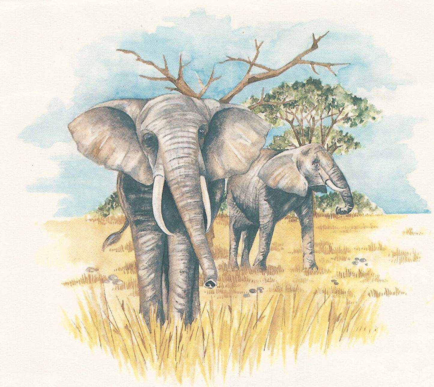 Elephant African Gray 1 pc 7" X 6"" Overglaze Waterslide Ceramic Decal