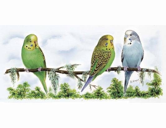 Parakeet Budgie Wrap Wraparound 7.5 X 3" Overglaze Waterslide Ceramic Decal