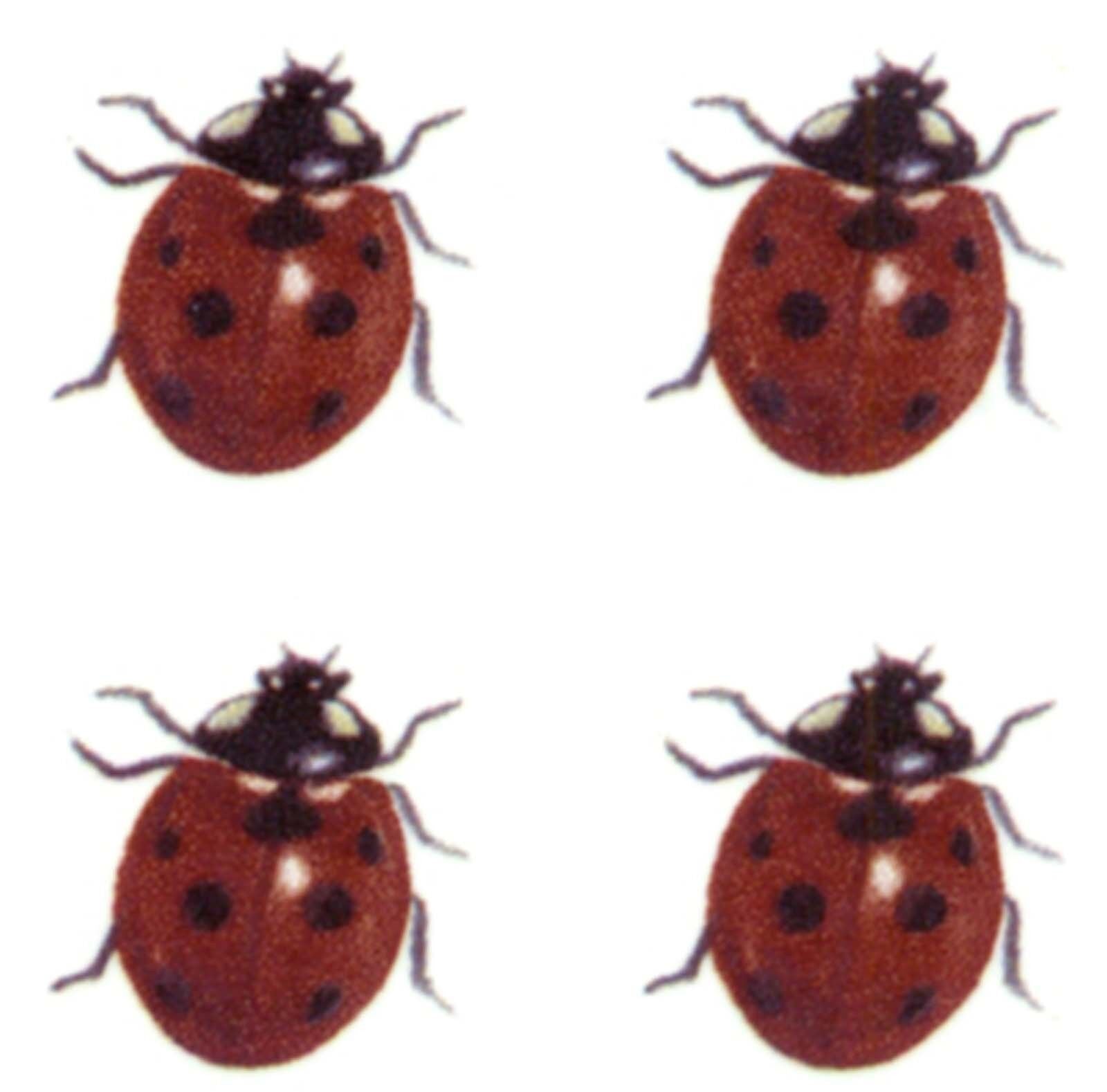 Red Black Ladybug Lady Bug Insect Overglaze Waterslide Ceramic Decals ...