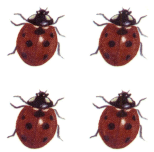 Red Black Ladybug Lady Bug Insect Overglaze Waterslide Ceramic Decals