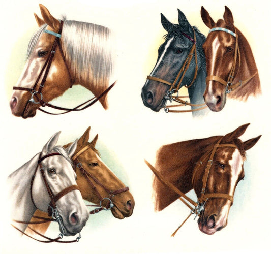 Horse Head Portrait Overglaze Waterslide Ceramic Decals