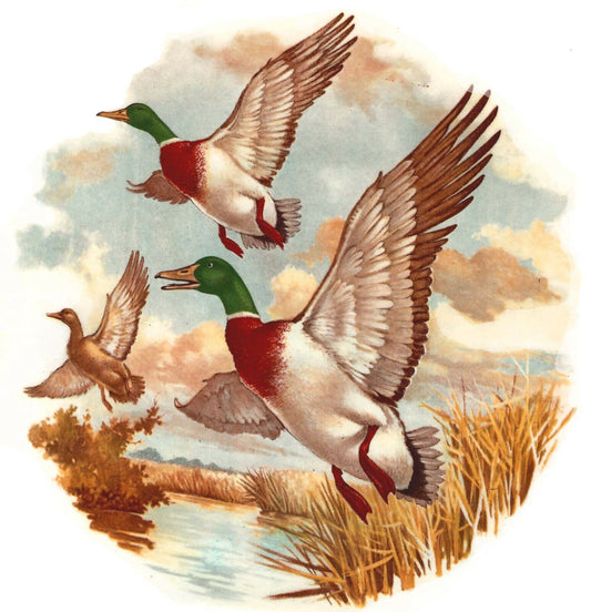 Mallard Ducks in Flight 1 pc 6" Overglaze Waterslide Ceramic Decal