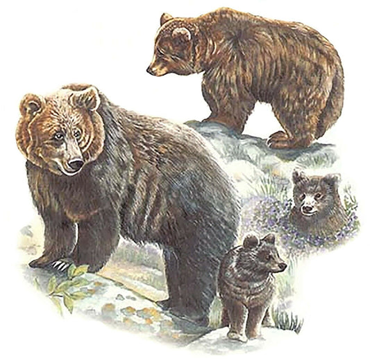 Brown Bear Family 3 pcs  3" X 2-1/2" Waterslide Ceramic Decals