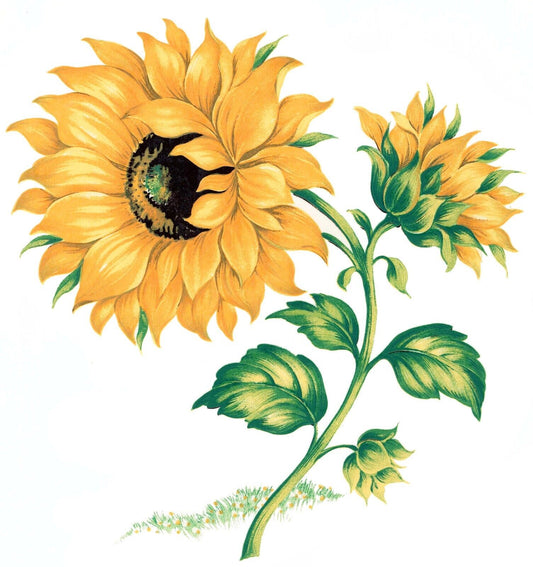 Yellow Sunflowers Flowers Overglaze Waterslide Ceramic Decals
