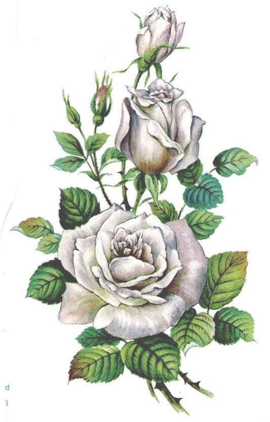 White Rose Spray Flower Overglaze Waterslide Ceramic Decals