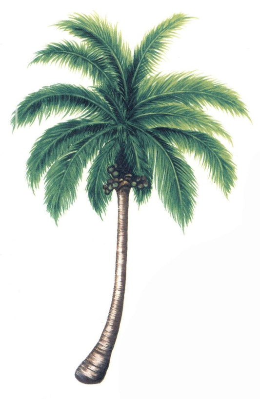 Coconut Palm Trees Overglaze Waterslide Ceramic Decals