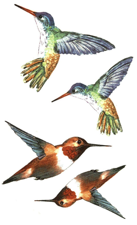 Hummingbirds 4 pcs 2 Inch and 2.75 Inch Overglaze Ceramic Waterslide Decals
