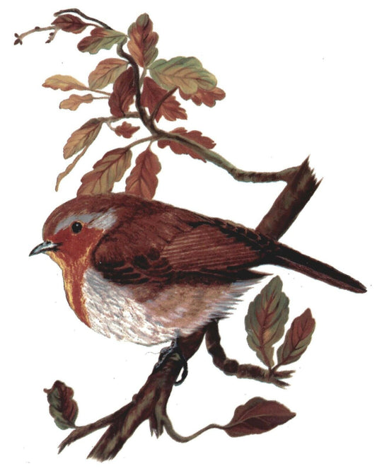 Robin Red Breast Branch 1 pc 5" X 4" Overglaze Waterslide Ceramic Decal