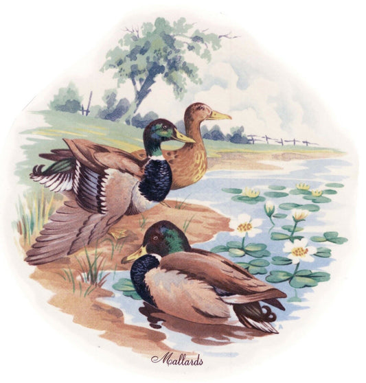 Mallard Ducks Lake Meadow 2 pcs 5" X 5" Overglaze Waterslide Ceramic Decals