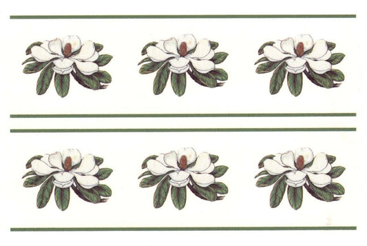 4 White Magnolia Flower Border 6 X 1.75" Overglaze Waterslide Ceramic Decals