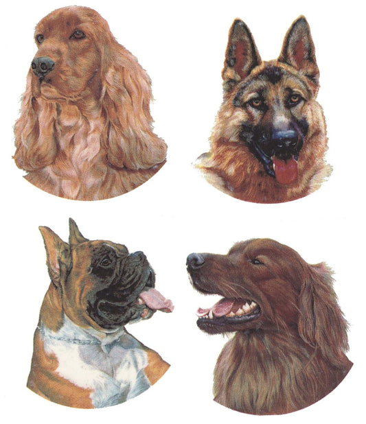 Dogs Setter Alsatian Cocker Spaniel Boxer 4 pcs 2 Inch Waterslide Ceramic Decals