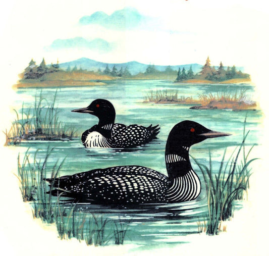 Loon on the Lake Overglaze Waterslide Ceramic Decals