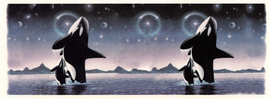 Midnight Orca Whale Wraparound 1 pc 8.5 X 3" Overglaze Waterslide Ceramic Decal