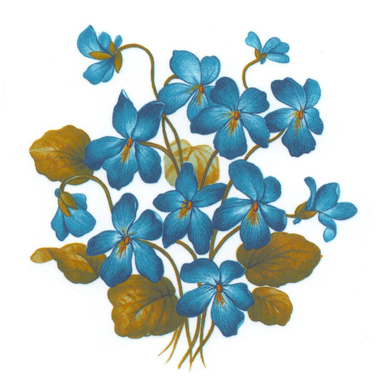 Flower of the Month February Violet Overglaze Waterslide Ceramic Decals