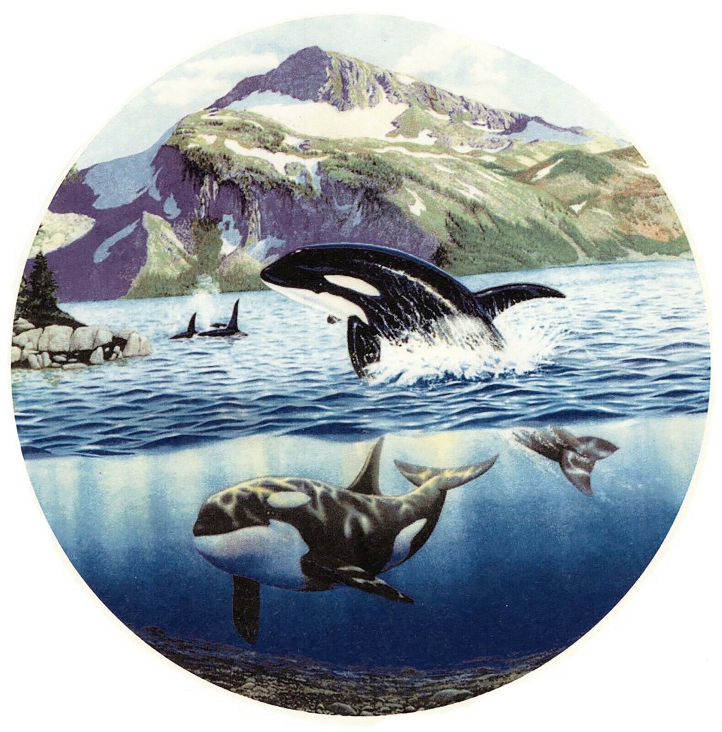 Orca Whale Ocean Mountains Overglaze Waterslide Ceramic Decals