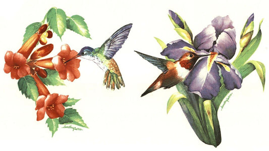 Hummingbird Iris Flower Overglaze Waterslide Ceramic Decals