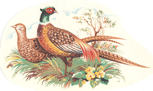 Pheasant Bird Overglaze Waterslide Ceramic Decals