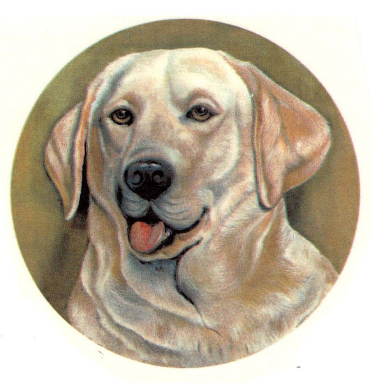 Golden Retriever Dog Overglaze Waterslide Ceramic Decals