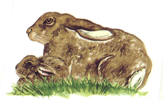 Brown Bunny Rabbit Overglaze Waterslide Ceramic Decals
