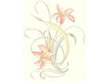 Flowers Peach Day Lily Ceramic Decals 1337