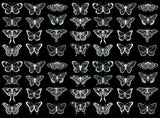 Butterfly Beauties 56 pcs 1" White Fused Glass Decals