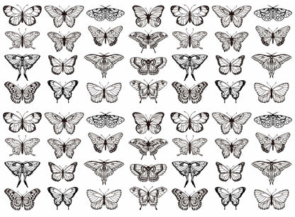 Butterfly Beauties 56 pcs 1 Inch Black Fused Glass Decals