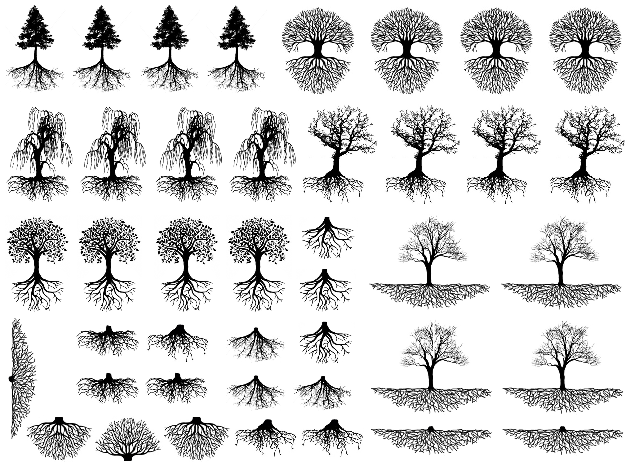 Flat vector design of a gray tree with dense roots of life close-up  isolated. Stylish sketch for tattoo Stock Vector | Adobe Stock