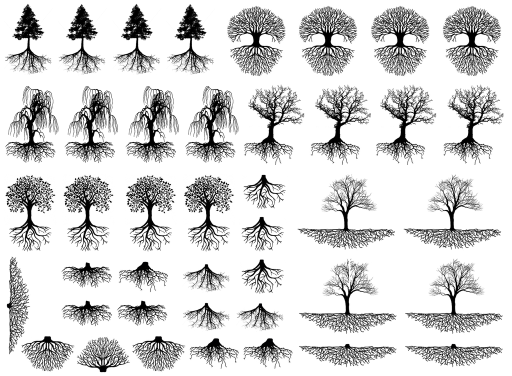 Trees Roots 42 pcs 3/8" to 1-1/4" Black Fused Glass Decals