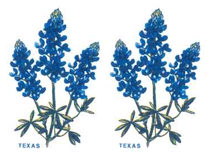 Flowers Texas Blue Bonnet Ceramic Decals