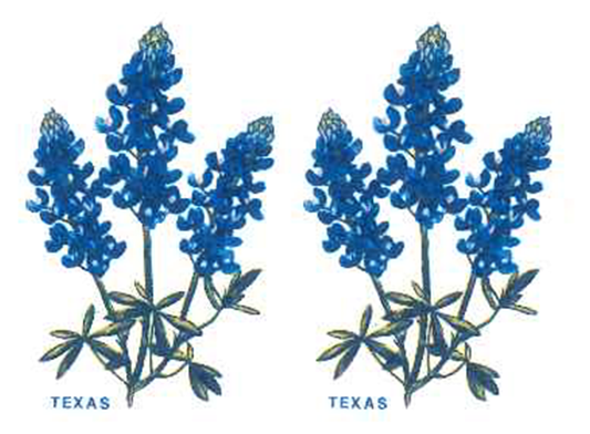 Flowers Texas Blue Bonnet Overglaze Ceramic Decals