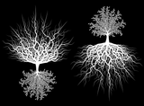 Rooted Tree of Life 4 pcs 3-1/2" White Fused Glass Decals