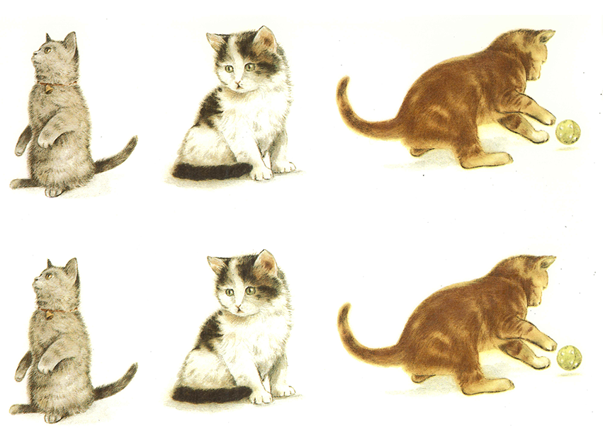 Cats Ceramic Decals 176 Captive Decals