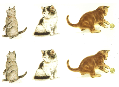 Cats Ceramic Decals 176