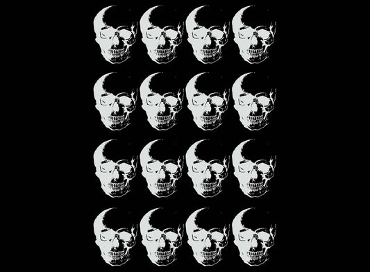 Fierce Skull 16 pcs White Fused Glass Decals