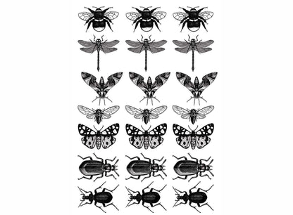 Insect Mania 21 pcs 1 Inch Black Fused Glass Decals