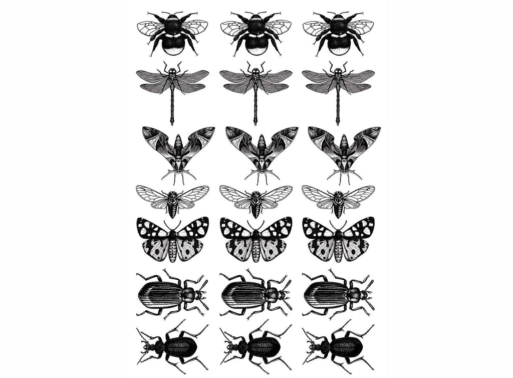 Insect Mania 21 pcs 1" Black Fused Glass Decals