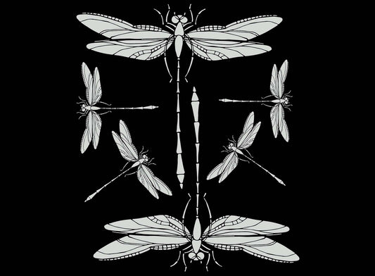 Dragonfly 6 pcs White Fused Glass Decals