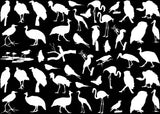 African Birds 47 pcs 1/2" to 1-1/4" White Fused Glass Decals