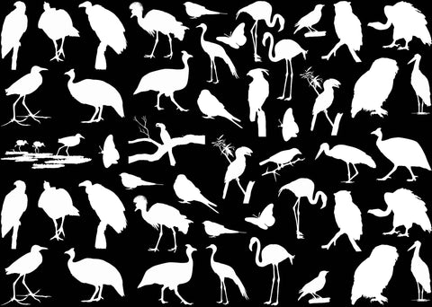 African Birds 47 pcs 1/2" to 1-1/4" White Fused Glass Decals