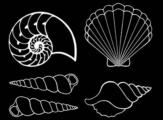 Seashells Shells 25 pcs 1 Inch White Fused Glass Decals