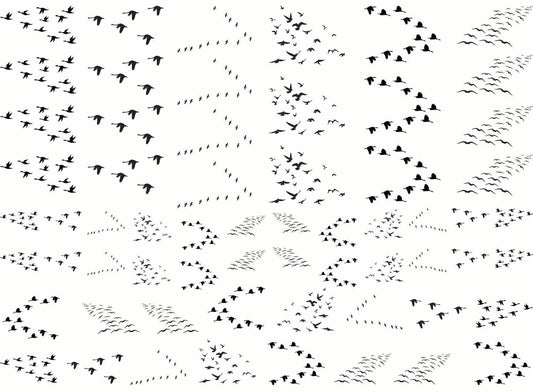 Bird Flocks 61 pcs Black Fused Glass Decals
