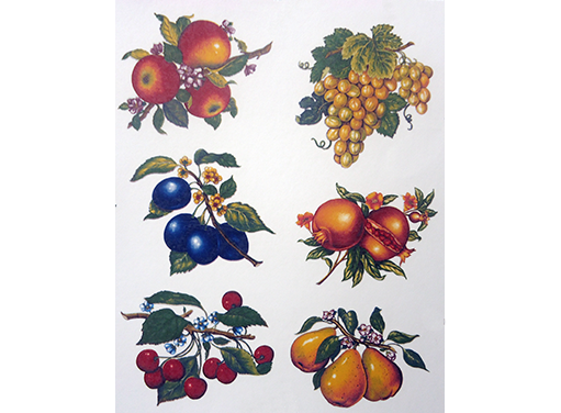 Fruit Grapes Plums Cherries Pears Ceramic Decals  3350